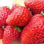 甘くておいし～～～～～いイチゴ！！