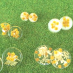 「カントリーマーケットin三田×阪急」　開催決定しました♪