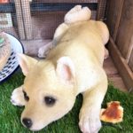 昨日４日ぶりに出勤したのですが、、