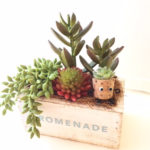 25thカントリーマーケットin三田　出店者様  ★グリーン雑貨 Kaen（神戸）